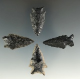 Set of four assorted Obsidian arrowheads found in Oregon, largest is 1 1/2