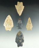 Set of five Transitional Paleo points found in Ohio, largest is 2 5/16
