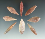 Group of Eight African Neolithic leaf points found in the northern Sahara Desert region.