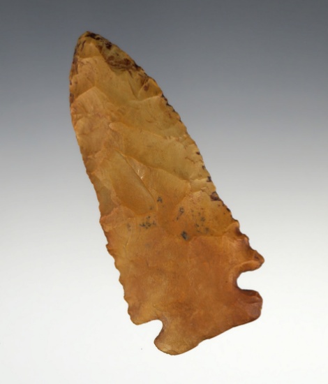 Beautiful material on this 3 1/8" Thebes - Creek stained Chert found in Illinois.  Dickey COA.