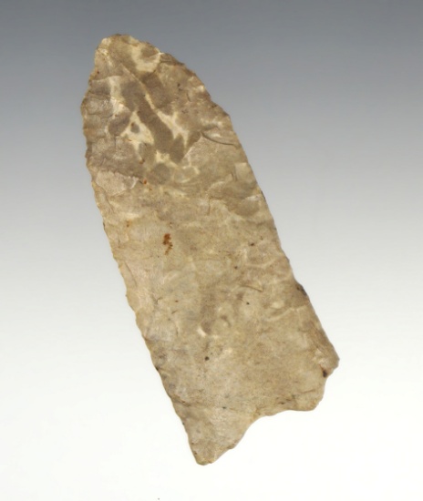 2 5/16" Paleo fluted Clovis Point made from Fort Payne Chert found in Kentucky.  Davis COA.