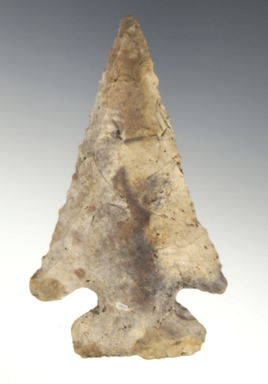 3 3/8" Archaic Thebes Bevel - Delaware Chert found in Mercer Co., Ohio. Stermer COA.