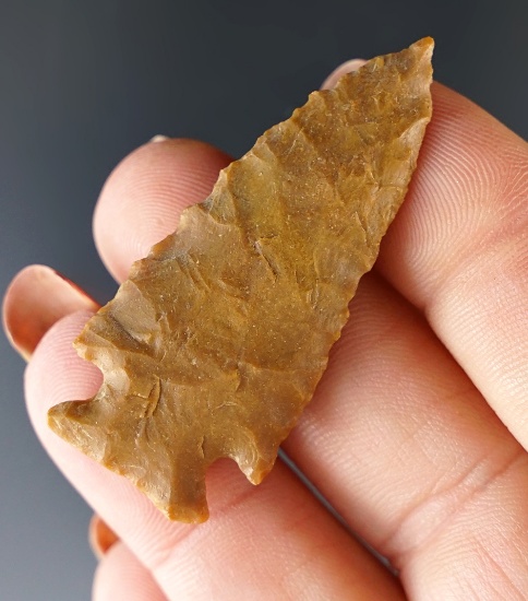 Well flaked 1 13/16" Cornernotch Arrowhead found in southwestern Colorado.