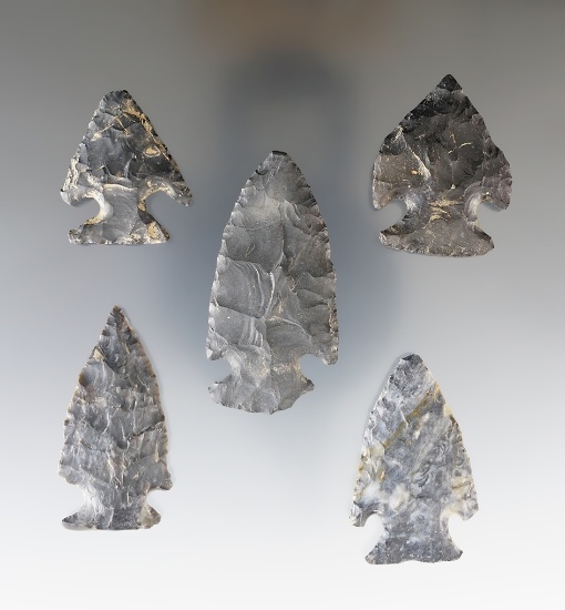 Set of 5 thin Intrusive Mound Points found in Ohio. All are made from Coshocton Flint.