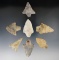 Group of seven assorted points found in the southeastern U. S. Largest is 2
