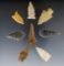 Set of 8 nicely serrated assorted points found in New Mexico. Largest is 1 5/8