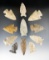 Set of 11 assorted Ohio Arrowheads, largest is 2