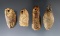 Set of four very old Inuit Walrus tooth weights found in Alaska. Largest is 1 3/4