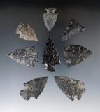 Set of 8 assorted arrowheads found in Twin Falls, Idaho. Largest is 1 13/16