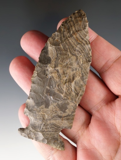 Large! 3 7/8" Fishspear made from mottled grey Nethers Flint. Found in Ohio.