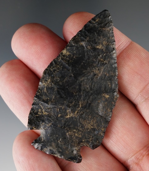 Excellent flaking and style on this 2 1/2" Coshocton Flint Pentagonal found in Ohio. Bennett COA.