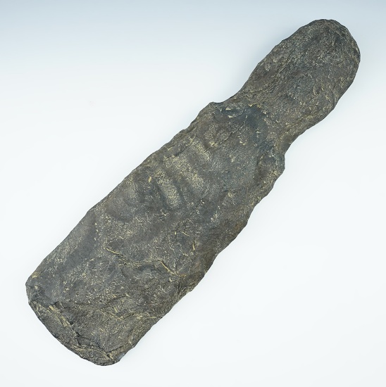 Very large! 13 3/4"  Notched Hoe made from Rhyolite. Some use polish at bit area. Maryland.