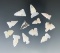 Set of 12 assorted arrow points found in New Mexico, largest is 3/4