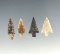 Set of four assorted Columbia River arrowheads. Largest is 7/8