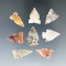 Set of eight assorted New Mexico arrowheads made from attractive materials. Largest is 7/8
