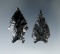 Pair of Pinto Basin Points made from Obsidian found in Lake Co., Oregon. Largest is 1 11/16