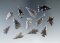 Set of 12 Obsidian arrowheads found in New Mexico, largest is 15/16