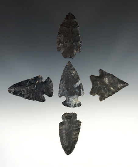 Set of five assorted points found in Ohio made from Coshocton Flint. Largest is 2 3/8".