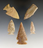 Set of 5 assorted points found in the Texas area. Largest is 2 1/8
