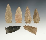 Group of 6 Ohio Serrated points, largest is 2 1/8