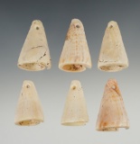 Nice! Set of six well-crafted drilled shell pendant found at a site in New Mexico. Largest is 1 1/2