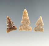 Set of three Sidenotch points found near the Columbia River. Largest is 1 1/8