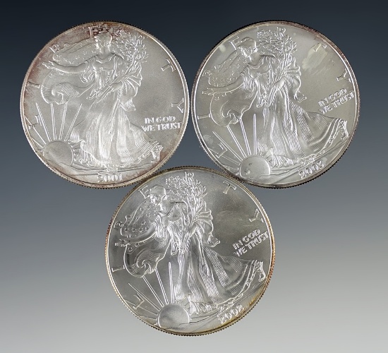 2001, 2002 and 2003 Uncirculated American Silver Eagles