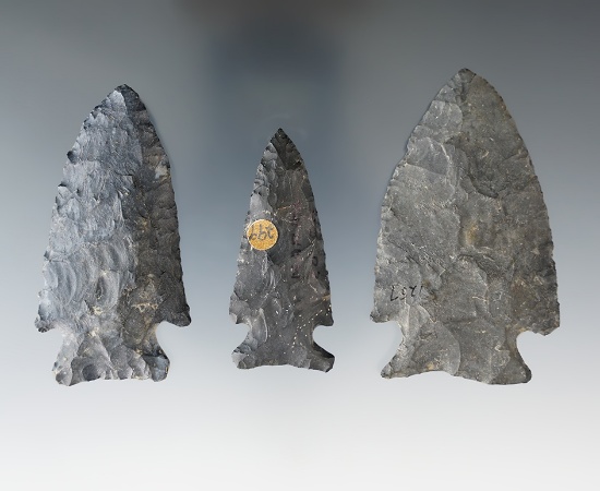 Set of 3 Coshocton Flint Archaic Points found in Ohio. Largest is 2 5/8".