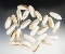 Set of 26 large drilled Shell Beads in great condition. The largest is 1 3/8
