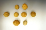 Group of 8 Pottery Cooking Balls found at Poverty Point, Louisiana.