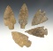 Set of 5 points found in the Midwestern U.S. The largest is 3 1/8