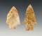 Pair of Savannah River points found near Brier Creek in Burke Co., Georgia.