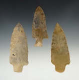 Set of 3 unique points found in the KY/TN area. All have a small hole from fossil inclusions.