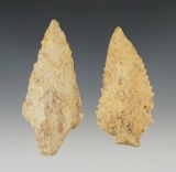 Pair of nice serrated points found in Houston Co., Georgia. The largest is 3 7/16