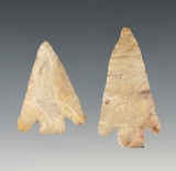 Pair of Hell's Canyon points found in Washington and Idaho. The largest is 2 1/16