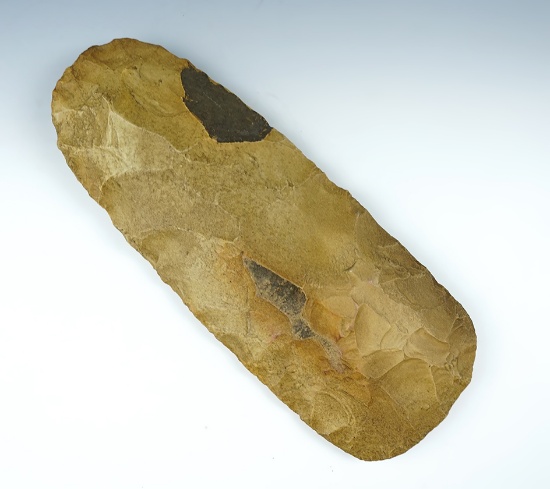 Large and very well formed 10 5/8" Flint Spade found in Jersey Co., Illinois.