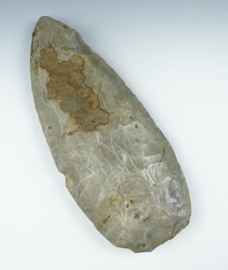 Impressive 10 3/4" Flint Spade with excellent use polished on surface, found in Illinois.