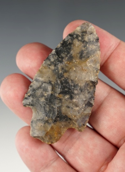 2 9/16" Stemmed point made from an nice speckled Coshocton Flint. Found in Wayne Co., Ohio.