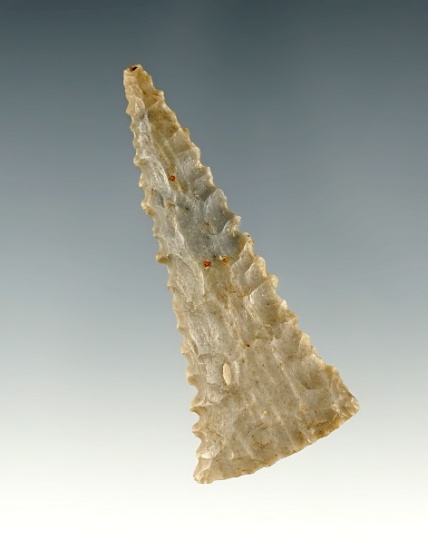 Amazing 2 1/16" Fort Ancient Triangle point with large, well defined serrations. Found in Ohio.