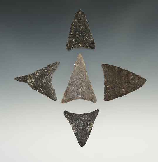 Set of 5 Triangle points found around Martha's Vineyard. The largest is 1 11/16".