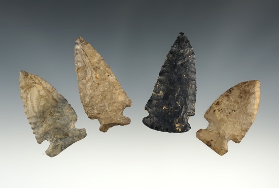 Set of 4 assorted points found in Coshocton Co., Ohio near West Bedford. The largest is 2 3/16".