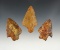 Set of 3 well patinated Florida points. Ex. Weidman collection. The largest is 2 3/4