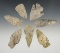 Set of 7 nicely made points made from Indiana Green (Attica chert).   Found in Parke Co., Indiana.