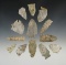 Set of 13 points made from Indiana Green (Attica chert).  Found in Parke Co., Indiana.