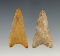 Pair of nice Dalton points found in Clay Co., Arkansas. The largest is 1 13/16