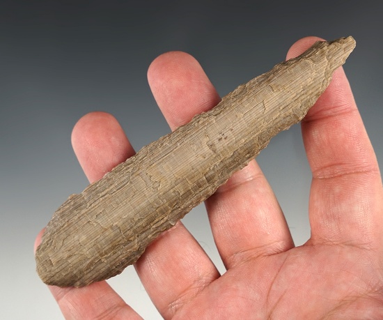 5" Wahmuza Knife found by Norma Berg around Vantage, Washington. Petrified Wood.