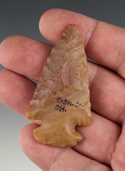 2 3/8" Dovetail found in Coshocton Co., Ohio. Made from colorful Carter Cave flint. Ex. Elleman.