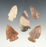 Set of 5 colorful Flint Ridge points found in Marion Co., Ohio. The largest is 1 7/8