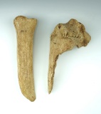 Pair of large Mandan Buffalo Bone Tools. The largest is 9 3/4