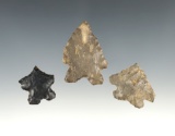 Set of 3 nice Ohio Bifurcates found in Coshocton and Fairfield Co., Ohio. The largest is 1 11/16